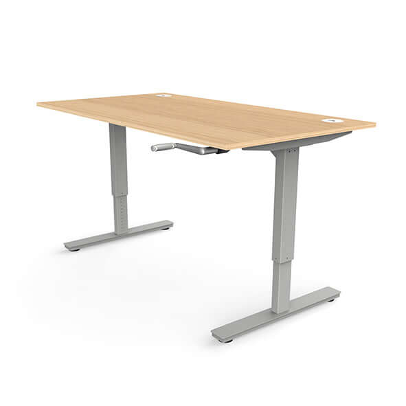 Manual Standing Desk in high demand