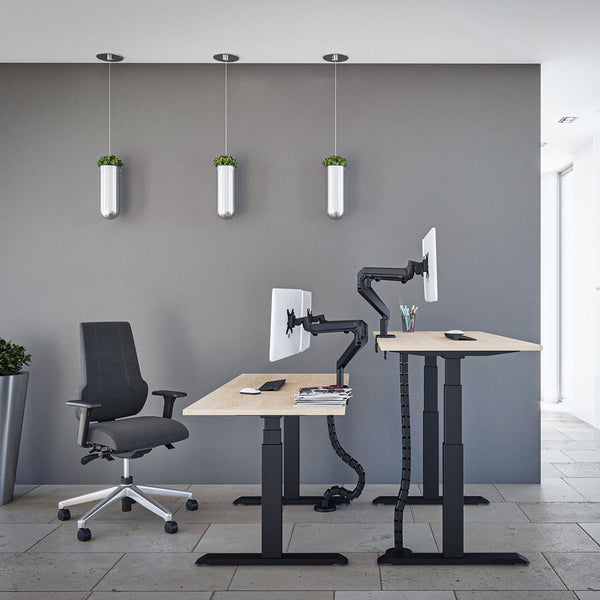 The Advance Standing Desk