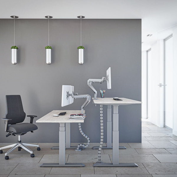 The Advance Standing Desk