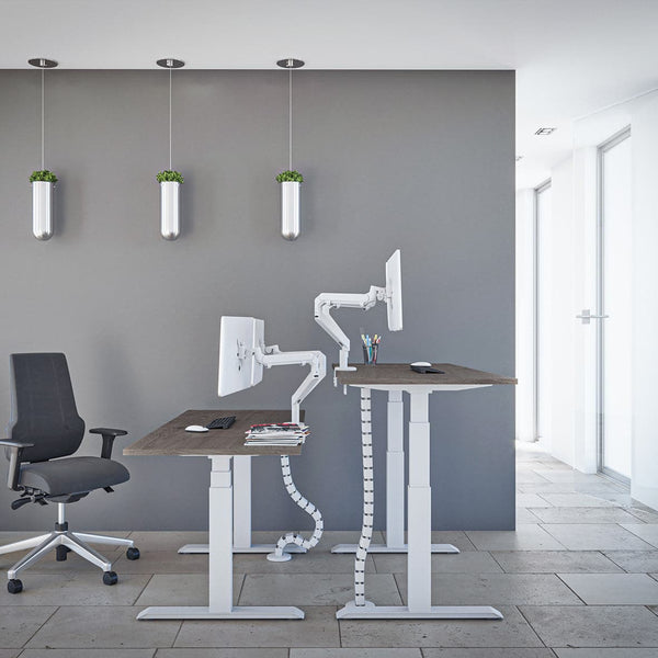 The Advance Standing Desk