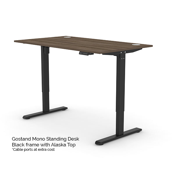 The Mono Standing Desk