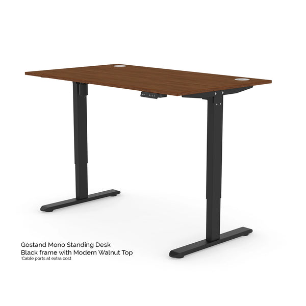 The Mono Standing Desk
