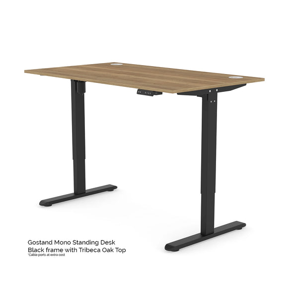The Mono Standing Desk