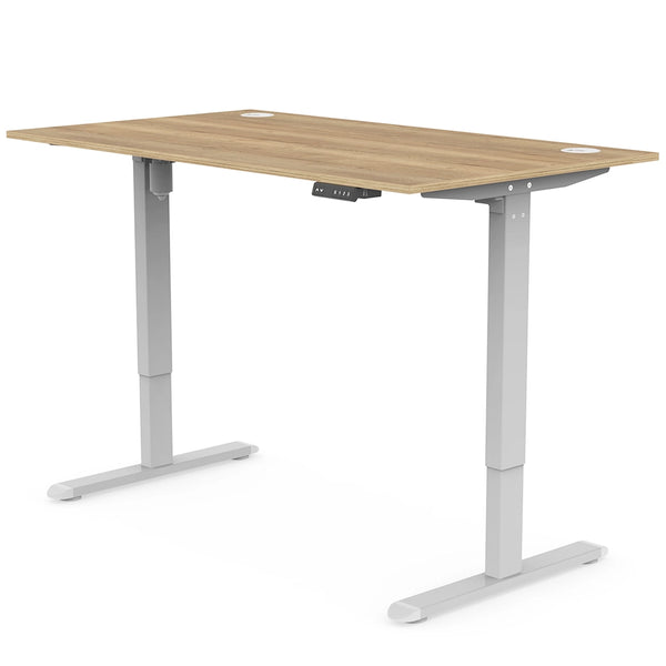 The Mono Standing Desk