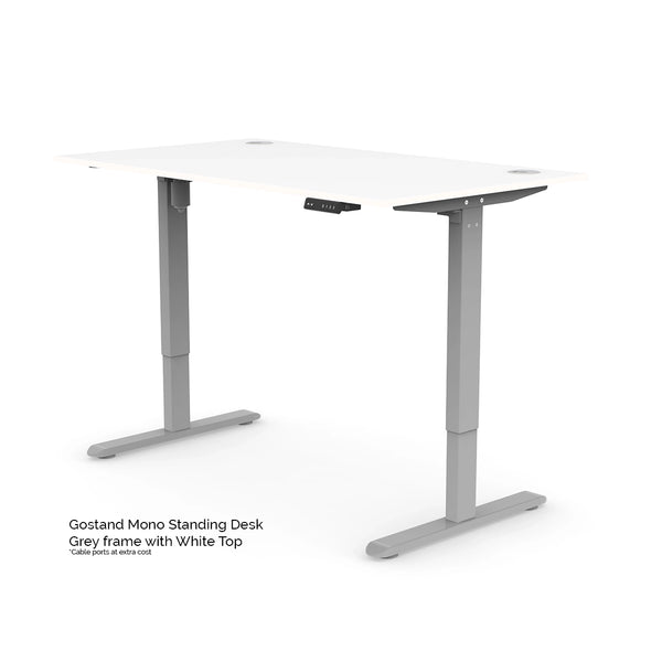 The Mono Standing Desk